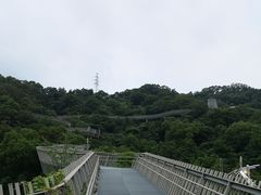 -福道