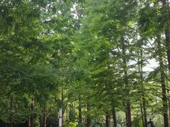 -苏州河梦清园环保主题公园