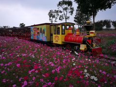 -歌斐颂巧克力小镇