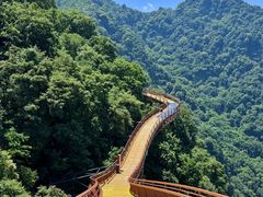 -少华山国家森林公园