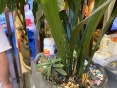 -川人川菜馆·小龙虾·鲜虾现做(黄山路店)