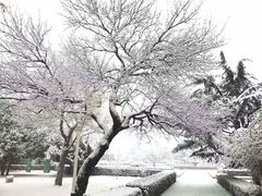 -大连人民广场