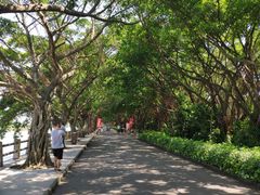-大湾区中央湿地公园