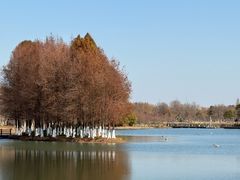 -阳澄湖费尔蒙酒店