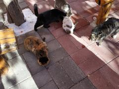 -沕沕水生态风景区