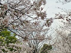 -堤角公园