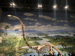 -自贡恐龙博物馆