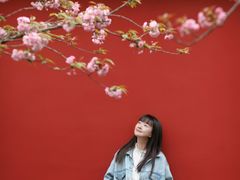 -明蜀王陵(地铁站)