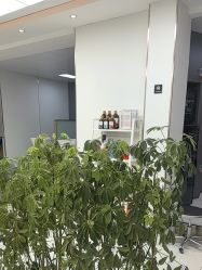 -阿三造型烫染•接发