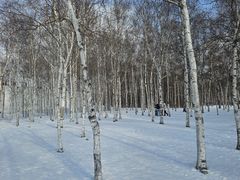 -长春市南湖公园