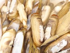 -杨记海鲜楼(三门黑金冠店)