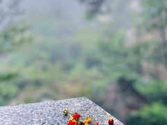 -崂山巨峰游览区