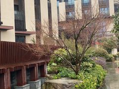 -上海崇明金茂凯悦酒店