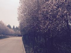 仙海风景区-仙海旅游度假区