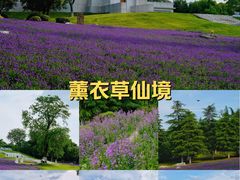 -武汉园博园(武汉自然博物馆)