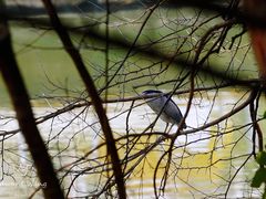 -苏州河梦清园环保主题公园