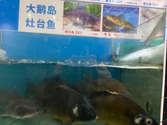 -大鹅岛灶台鱼·铁锅炖(水库路店)