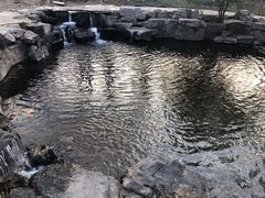 -百脉泉景区