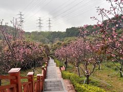 -小南山公园