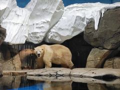 -海合安武汉极地海洋公园