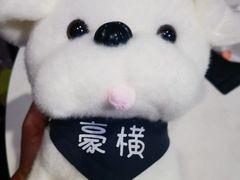 -嗨翻Hi-Fun竞技主题乐园·蹦床亲子生日轰趴(国光1937店)