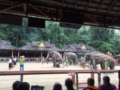 -西双版纳勐泐文化旅游区