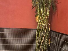 -满堂匠心川宴·私房菜(天府三街店)
