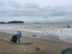 -南澳海滩