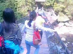 -石台牯牛降景区