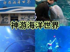 -威海华夏城景区