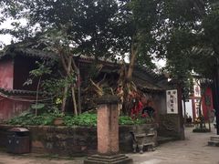 -黄龙溪古镇-古龙寺
