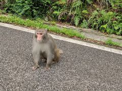 -姑婆山旅游区
