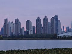 -月湖风景区