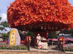 -沈阳方特欢乐世界