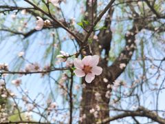 -杭州师范大学(下沙校区)