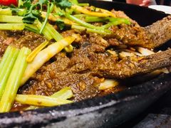 -老板恋上鱼(恒隆广场店)