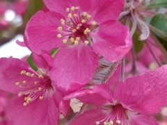 -长白岛森林公园