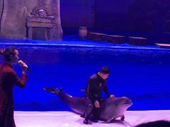 -华夏文旅海洋公园