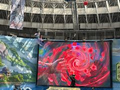 -海合安成都极地海洋公园