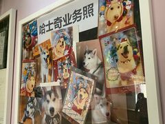 -Husky Go! 哈士奇体验馆·宠物咖啡厅狗咖