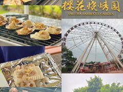 -顾村公园