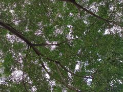 -洛阳周公庙博物馆