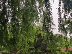 -睦南公园