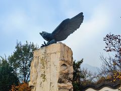 -北京鹫峰国家森林公园