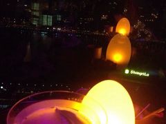 -翡翠36餐厅(浦东香格里拉店)