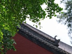 -洛阳白马寺