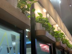 -肯德基(虹桥机场T2北指廊精选外卖点店)