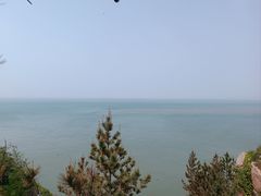 -摩天岭风景区