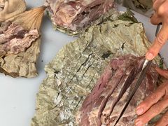 -东山矮马桶羊肉(太湖东山店)