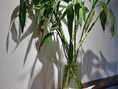 -八月美食小馆(银泰城总店)